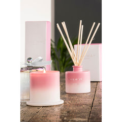 Galway Diffuser - Cactus Blossom