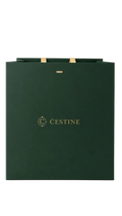 Premium Gift Bag