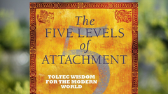 The Five Levels of Attachment