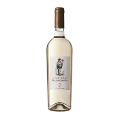 Conti Uttieri Falanghina Ancile IGT (75cl)
