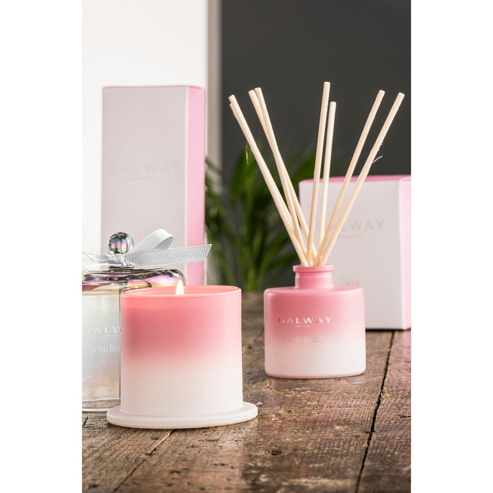 Galway Diffuser - Cactus Blossom