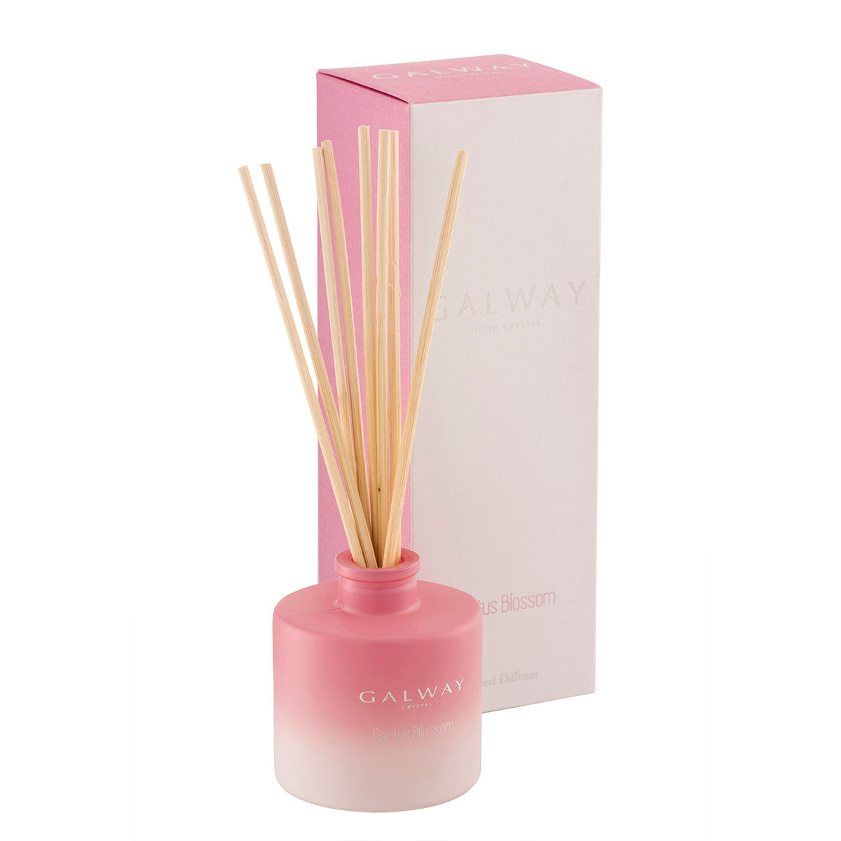 Galway Diffuser - Cactus Blossom