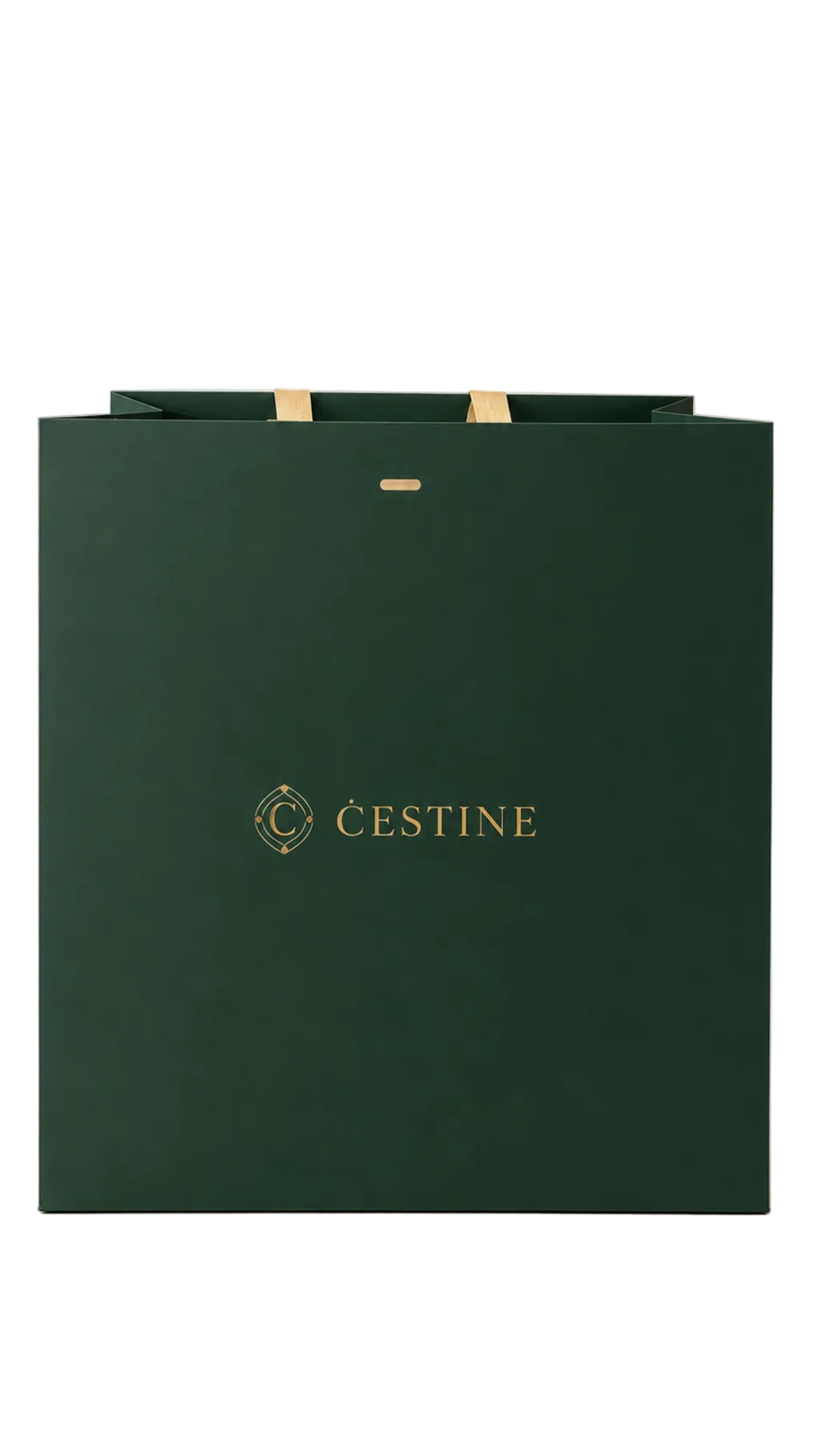 Premium Gift Bag