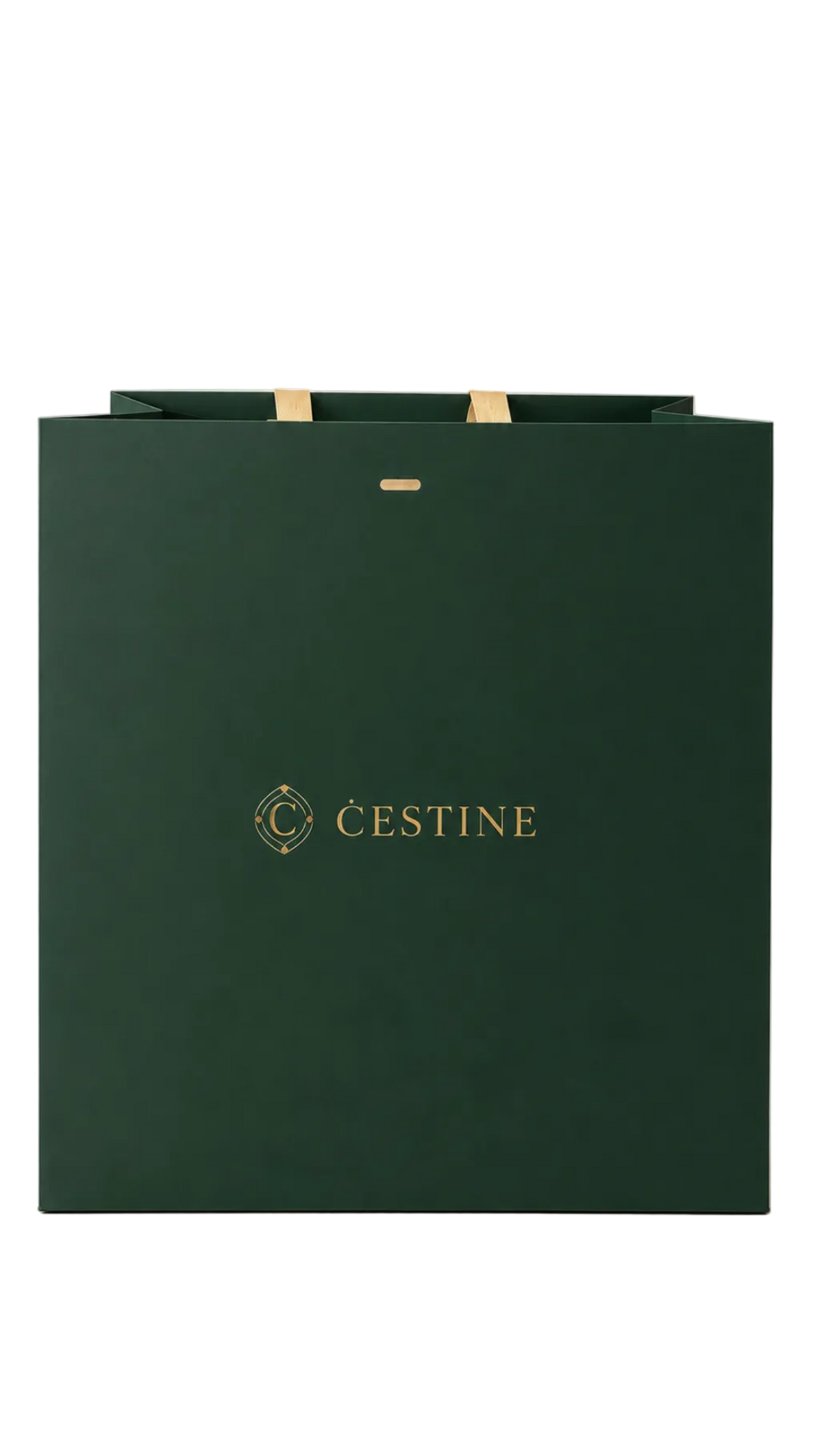 Premium Gift Bag