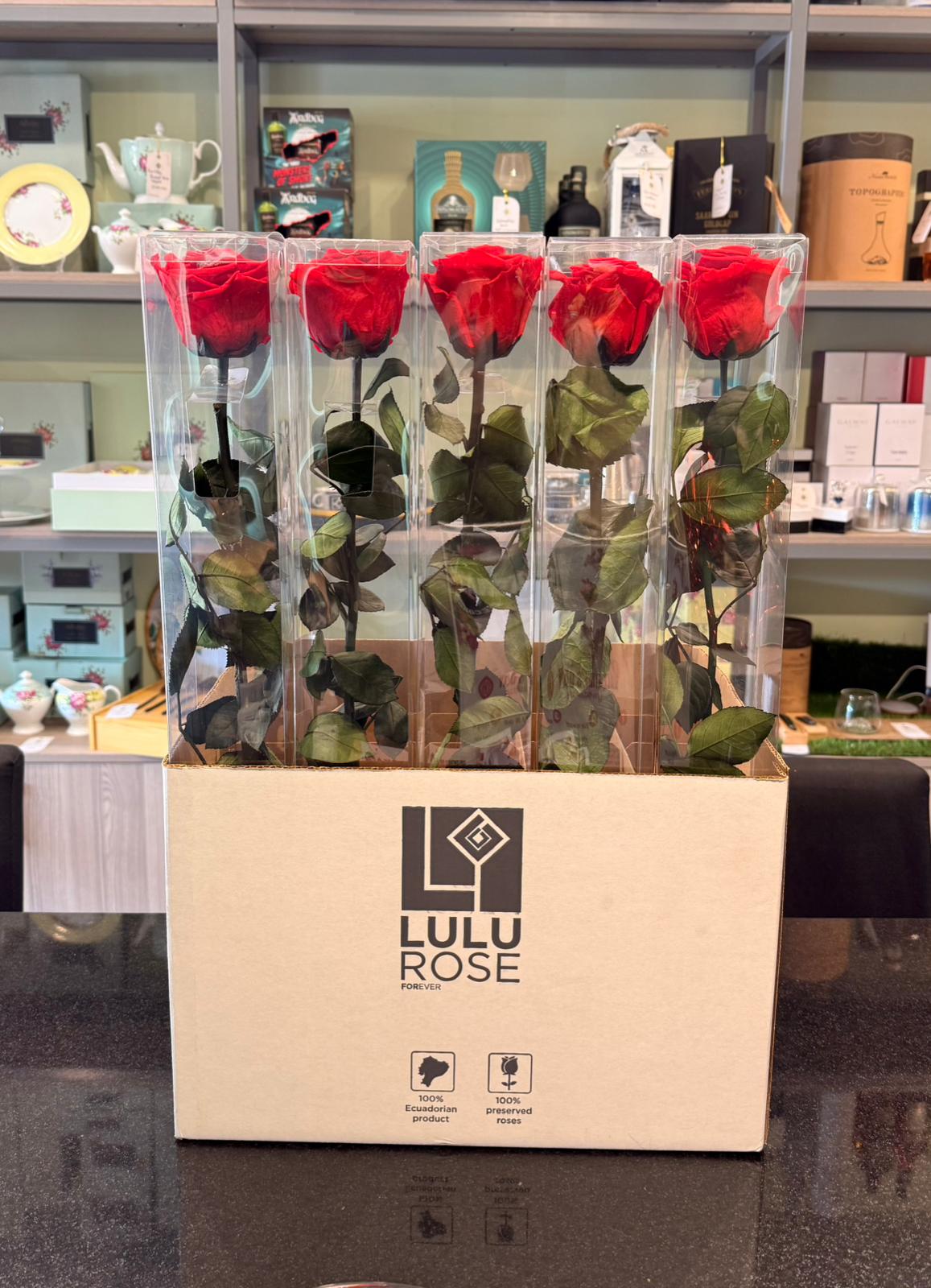 Lulu Rose - Long-stem Preserved Roses