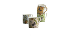 Aynsley Cottage Garden Windsor Mugs x 4